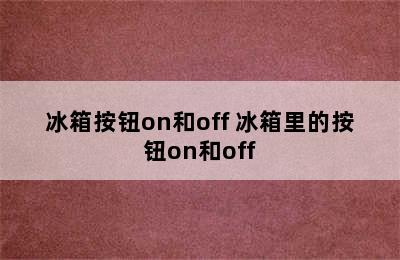 冰箱按钮on和off 冰箱里的按钮on和off